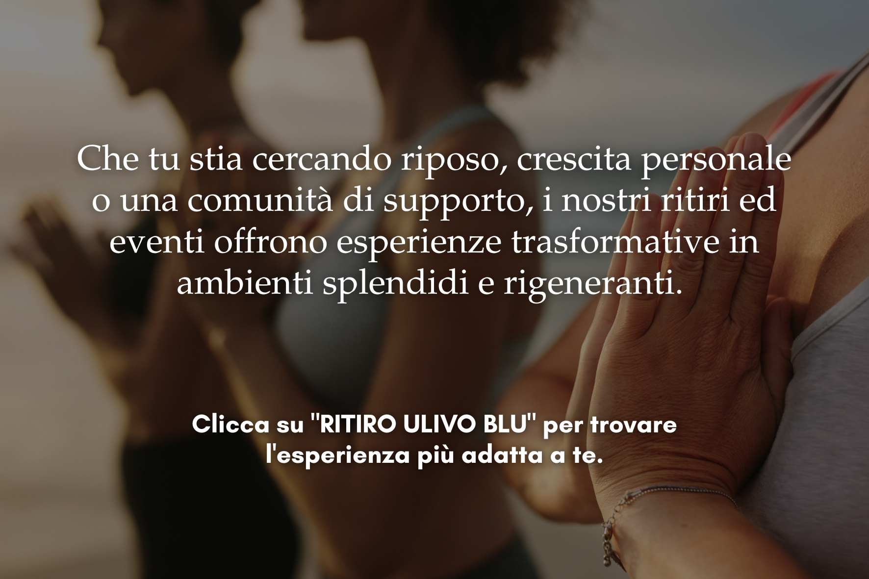 ritiro ulivo blu